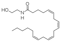 anandamide-chemical-structure